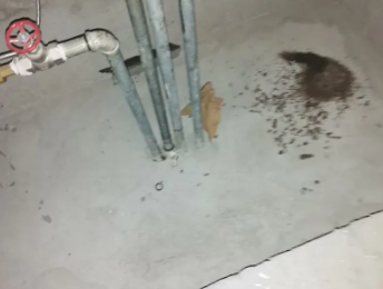 南京市卫生间测漏水价格明细